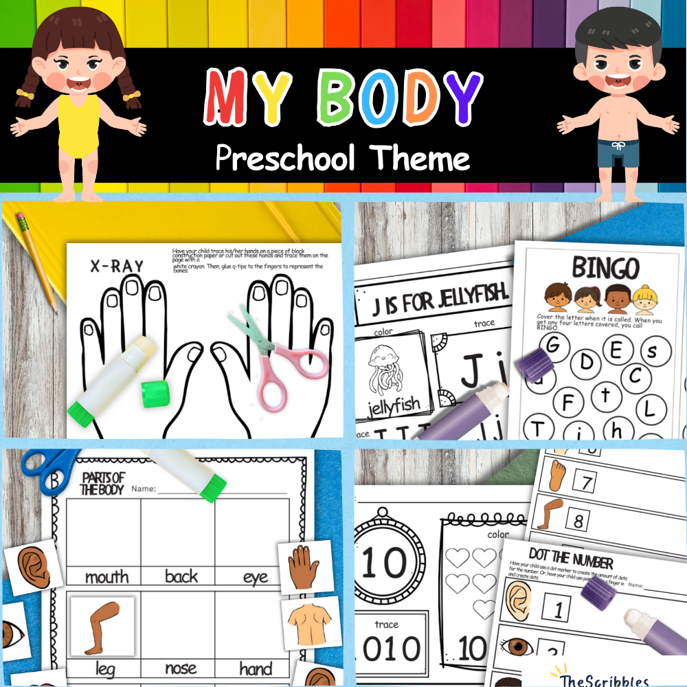 My Body Preschool Theme